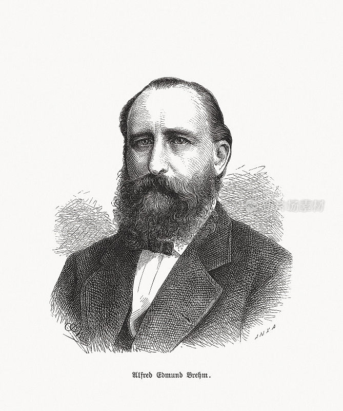 Alfred Brehm(1829-1884)，德国动物学家，木刻，1893年出版